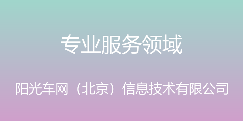 专业服务领域 - 阳光车网（北京）信息技术有限公司